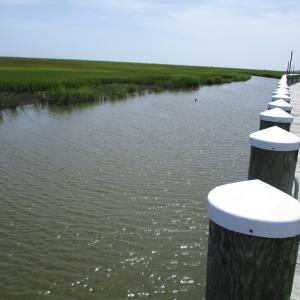 Photo #2 of 23 OCEAN VIEW WAY, PARKSLEY, VA 1.1 acres