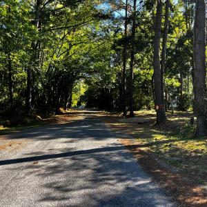 Tranquil Heron Drive