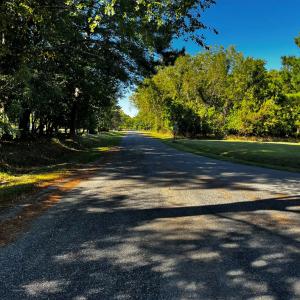 Tranquil Heron Drive