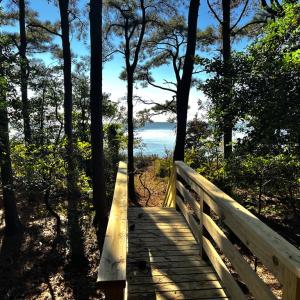 New steps down to water