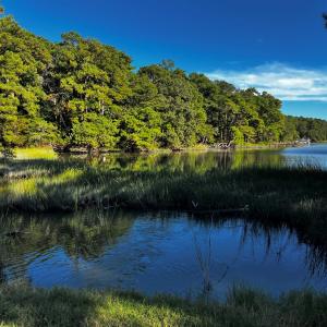 Heron Drive's Coastal Settings