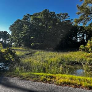 Heron Drive's Coastal Settings