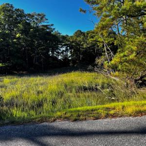 Heron Drive's Coastal Settings