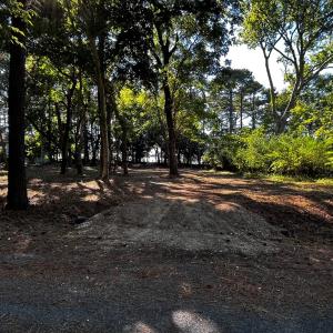 Just Cleared lot 259