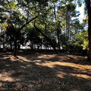 Photo #10 of Lot 259 HERON DR, MACHIPONGO, VA 0.7 acres
