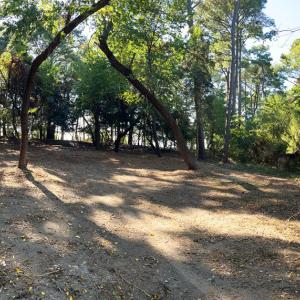 Photo #11 of Lot 259 HERON DR, MACHIPONGO, VA 0.7 acres