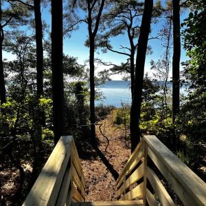 Photo #15 of Lot 259 HERON DR, MACHIPONGO, VA 0.7 acres