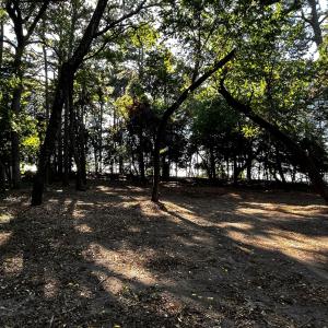 Photo #18 of Lot 259 HERON DR, MACHIPONGO, VA 0.7 acres