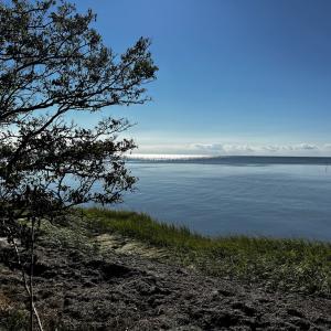 Photo #19 of Lot 259 HERON DR, MACHIPONGO, VA 0.7 acres