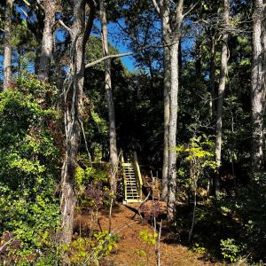 Photo #21 of Lot 259 HERON DR, MACHIPONGO, VA 0.7 acres
