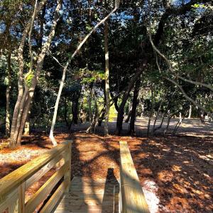 Photo #23 of Lot 259 HERON DR, MACHIPONGO, VA 0.7 acres