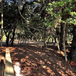 Photo #25 of Lot 259 HERON DR, MACHIPONGO, VA 0.7 acres