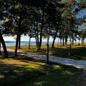 Photo #34 of Lot 259 HERON DR, MACHIPONGO, VA 0.7 acres