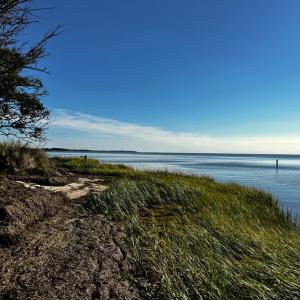 Photo #5 of Lot 259 HERON DR, MACHIPONGO, VA 0.7 acres