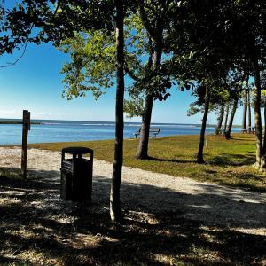 Community Area
