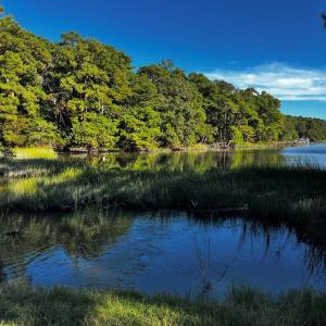 Heron Drive's Coastal Settings