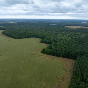 Photo #11 of NONE, NEW CHURCH, VA 151.9 acres