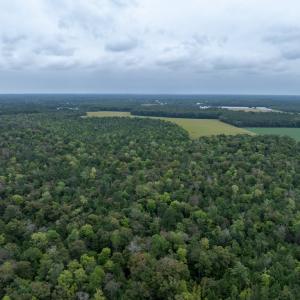 Photo #16 of NONE, NEW CHURCH, VA 151.9 acres