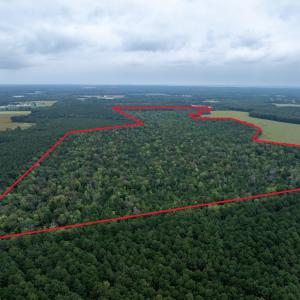 Photo #2 of NONE, NEW CHURCH, VA 151.9 acres