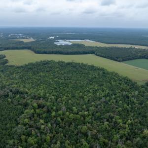 Photo #24 of NONE, NEW CHURCH, VA 151.9 acres