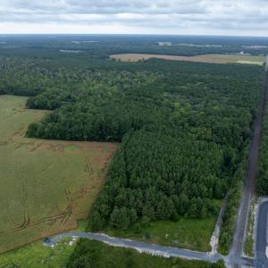 Photo #10 of NONE, NEW CHURCH, VA 151.9 acres