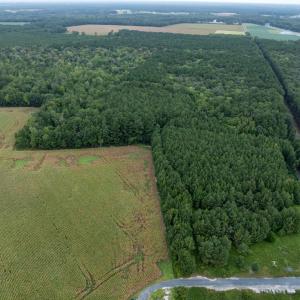 Photo #12 of NONE, NEW CHURCH, VA 151.9 acres