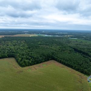 Photo #13 of NONE, NEW CHURCH, VA 151.9 acres