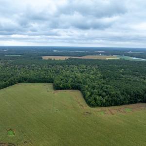 Photo #14 of NONE, NEW CHURCH, VA 151.9 acres