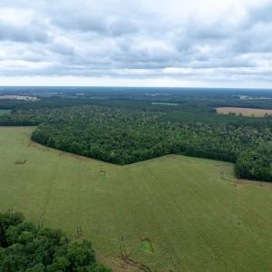 Photo #15 of NONE, NEW CHURCH, VA 151.9 acres