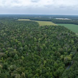 Photo #17 of NONE, NEW CHURCH, VA 151.9 acres