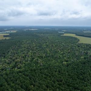 Photo #18 of NONE, NEW CHURCH, VA 151.9 acres