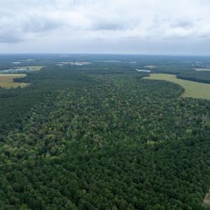 Photo #19 of NONE, NEW CHURCH, VA 151.9 acres