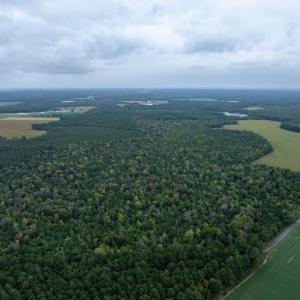 Photo #20 of NONE, NEW CHURCH, VA 151.9 acres