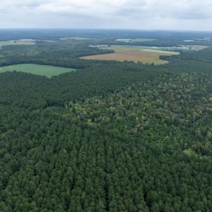 Photo #21 of NONE, NEW CHURCH, VA 151.9 acres