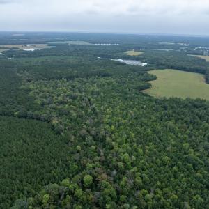 Photo #23 of NONE, NEW CHURCH, VA 151.9 acres