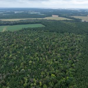 Photo #25 of NONE, NEW CHURCH, VA 151.9 acres