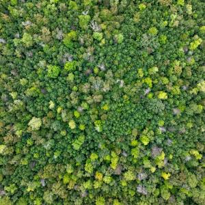 Photo #26 of NONE, NEW CHURCH, VA 151.9 acres