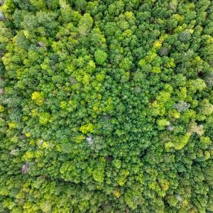 Photo #27 of NONE, NEW CHURCH, VA 151.9 acres