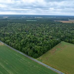 Photo #4 of NONE, NEW CHURCH, VA 151.9 acres