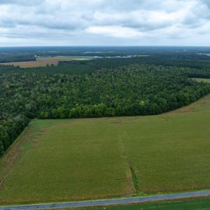 Photo #5 of NONE, NEW CHURCH, VA 151.9 acres