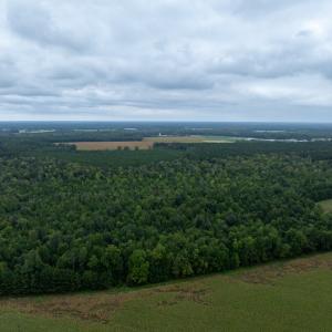 Photo #6 of NONE, NEW CHURCH, VA 151.9 acres