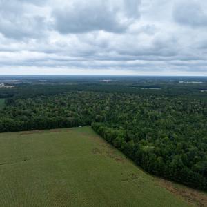 Photo #7 of NONE, NEW CHURCH, VA 151.9 acres
