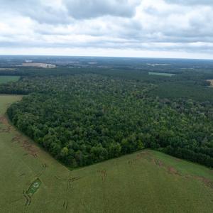 Photo #8 of NONE, NEW CHURCH, VA 151.9 acres