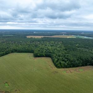 Photo #14 of NONE, NEW CHURCH, VA 151.9 acres