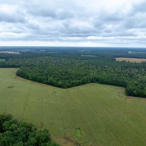 Photo #15 of NONE, NEW CHURCH, VA 151.9 acres