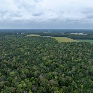 Photo #16 of NONE, NEW CHURCH, VA 151.9 acres