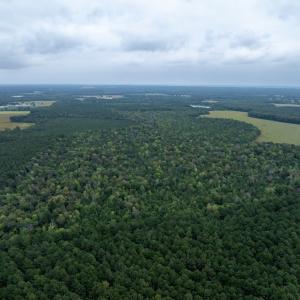 Photo #18 of NONE, NEW CHURCH, VA 151.9 acres