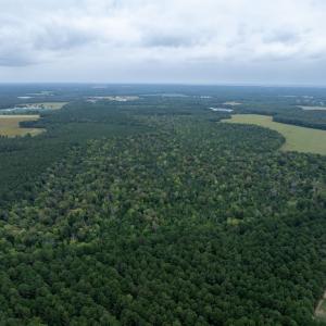 Photo #19 of NONE, NEW CHURCH, VA 151.9 acres