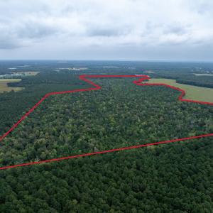 Photo #2 of NONE, NEW CHURCH, VA 151.9 acres