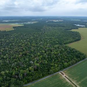 Photo #22 of NONE, NEW CHURCH, VA 151.9 acres